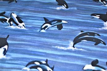 Printed 100% Cotton Fabric - image 5