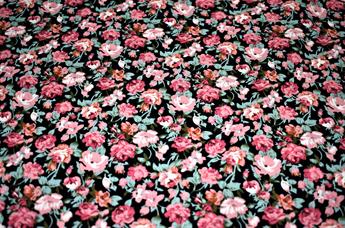Flower Print Cotton - image 3