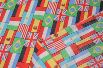 World Flags Print - image 8