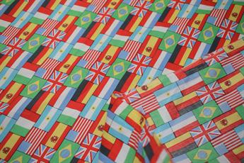 World Flags Print - image 3