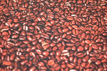 Coffee Beans - image 3