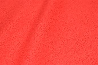 Printed Blender Cotton - image 6