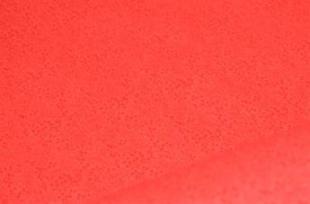 Printed Blender Cotton - image 7