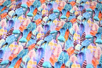 Feathers Print - image 2