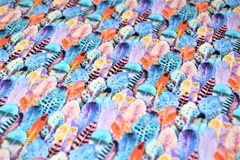 Feathers Print - image 4