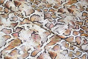 Animals Skin Print - image 1