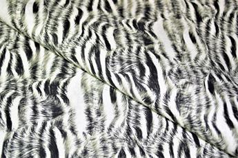 Animal Skin - image 1