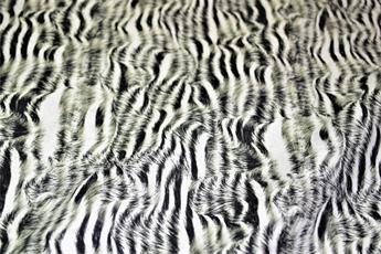 Animal Skin - image 2