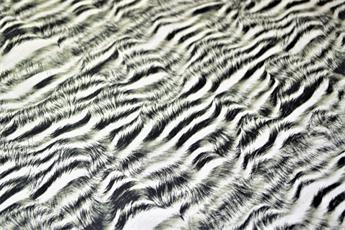 Animal Skin - image 3