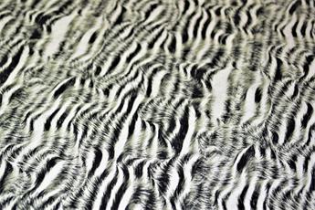 Animal Skin - image 4