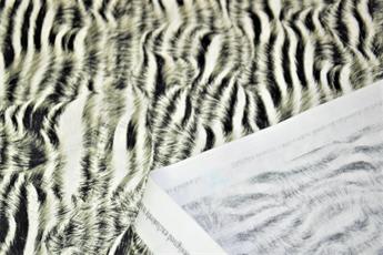 Animal Skin - image 8
