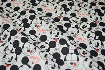 Mickey Love - image 2