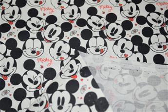 Mickey Love - image 6