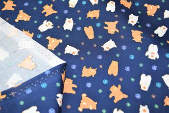 Bears - image 9