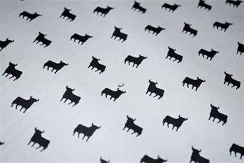  - image 7