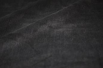Corduroy - image 3