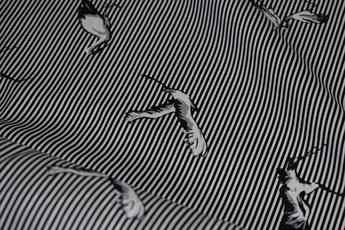 Bird Print - image 2