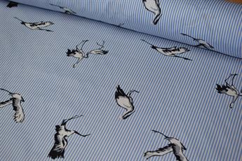 Bird Print - SKY BLUE