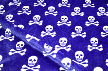 FG-FL-0169- 133768ECC