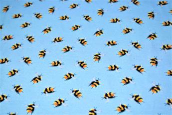 Bees - image 3