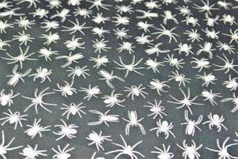 Spiders All Over - image 4