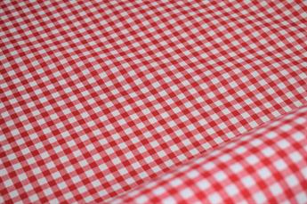 Gingham - image 5