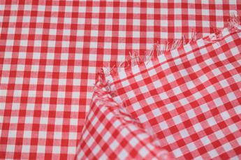 Gingham - image 7