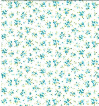 FG-POLY-0658- TC0121