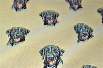 Labrador All Over - image 2