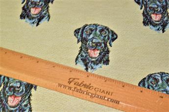 Labrador All Over - image 3