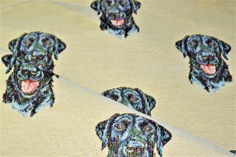 Labrador All Over - image 4