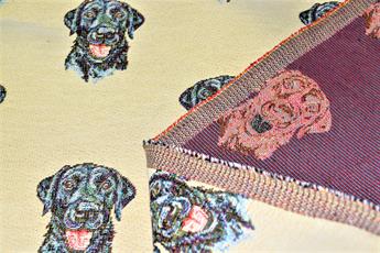 Labrador All Over - image 5