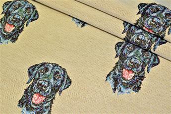 Labrador All Over - image 6