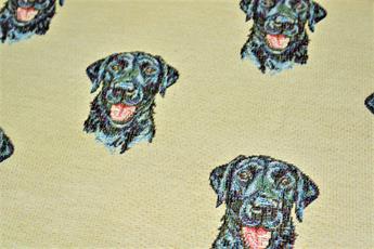Labrador All Over - image 7