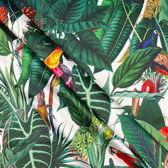 Rainforest - image 4