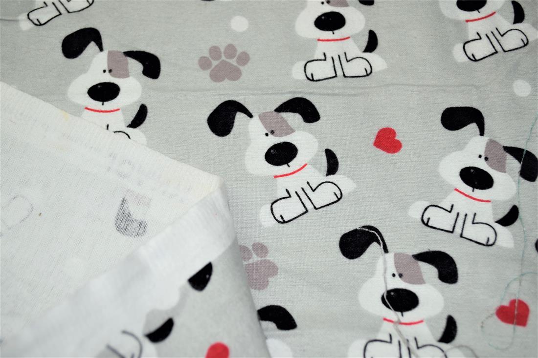 Dog, Paw & Heart