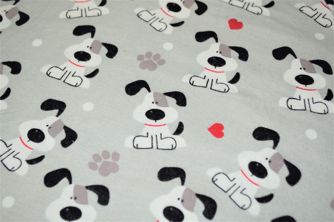 Dog, Paw & Heart