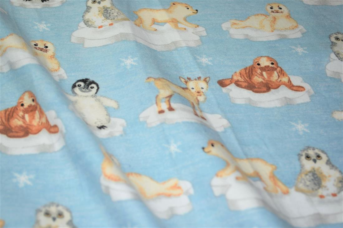 Arctic Animals