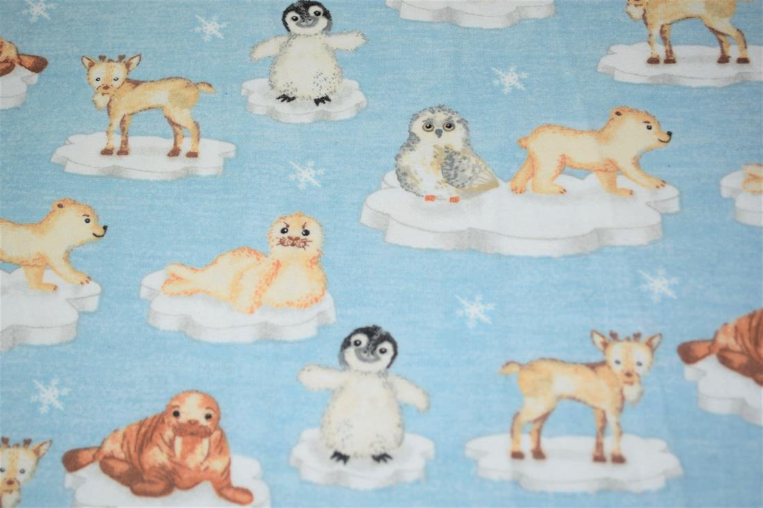 Arctic Animals