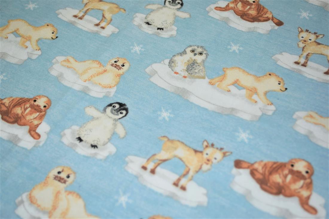 Arctic Animals