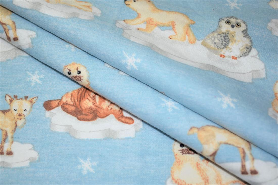 Arctic Animals