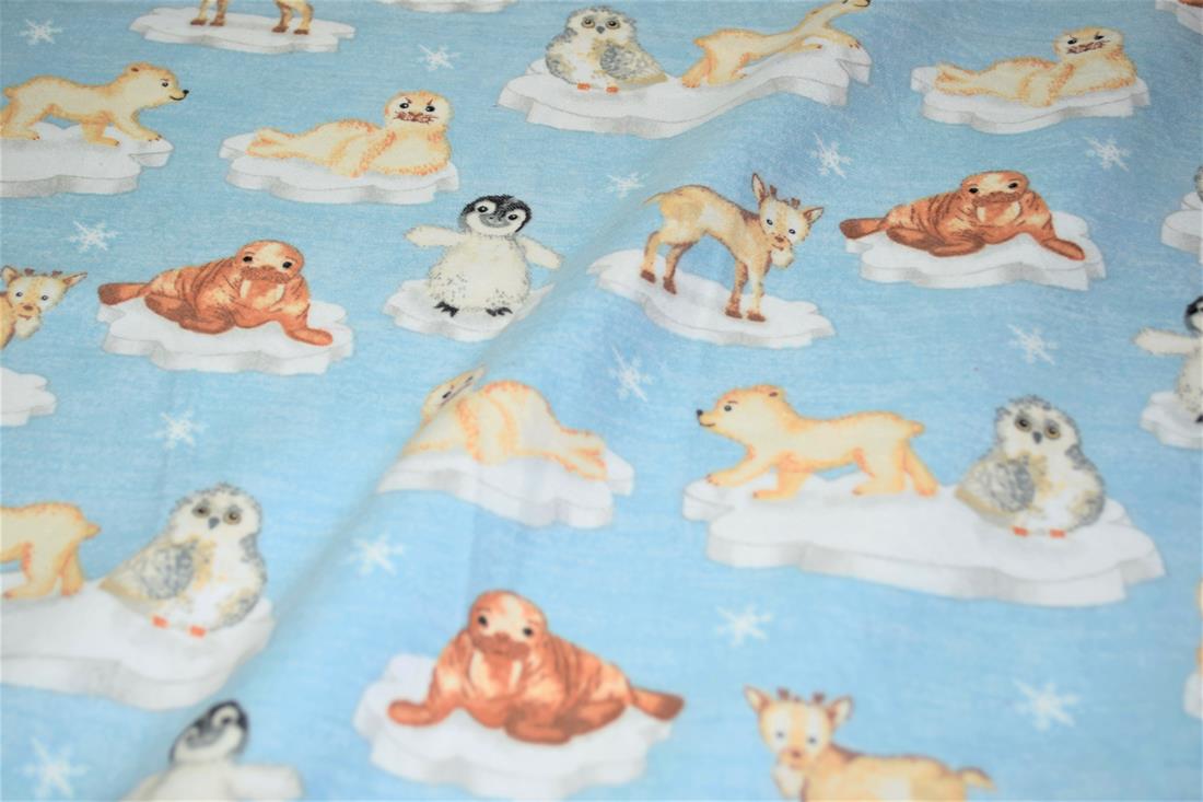 Arctic Animals