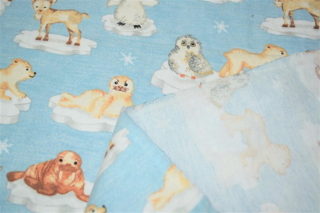Arctic Animals