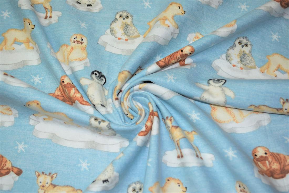 Arctic Animals