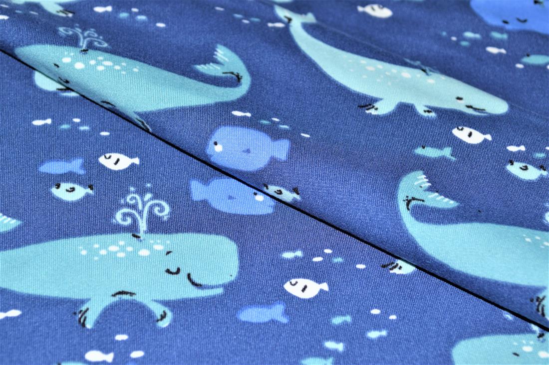 Whales - image 1