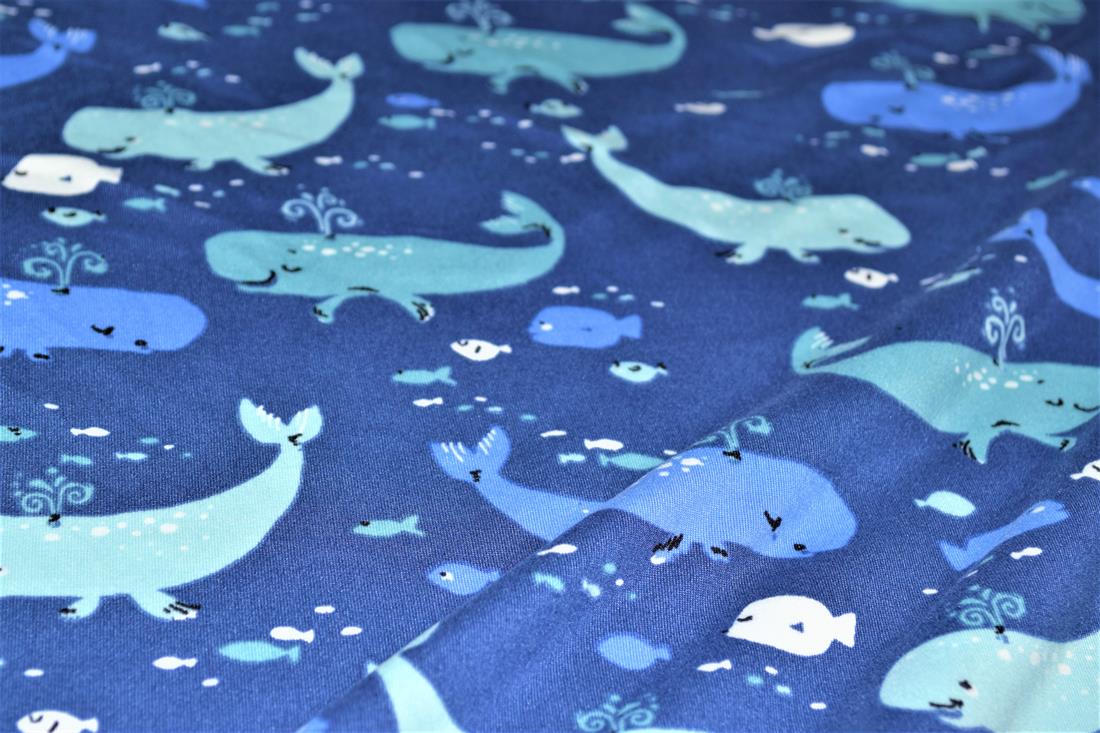 Whales - image 2