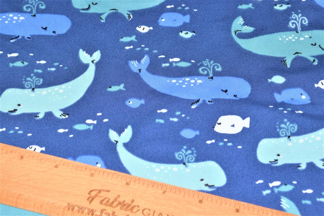 Whales - image 3