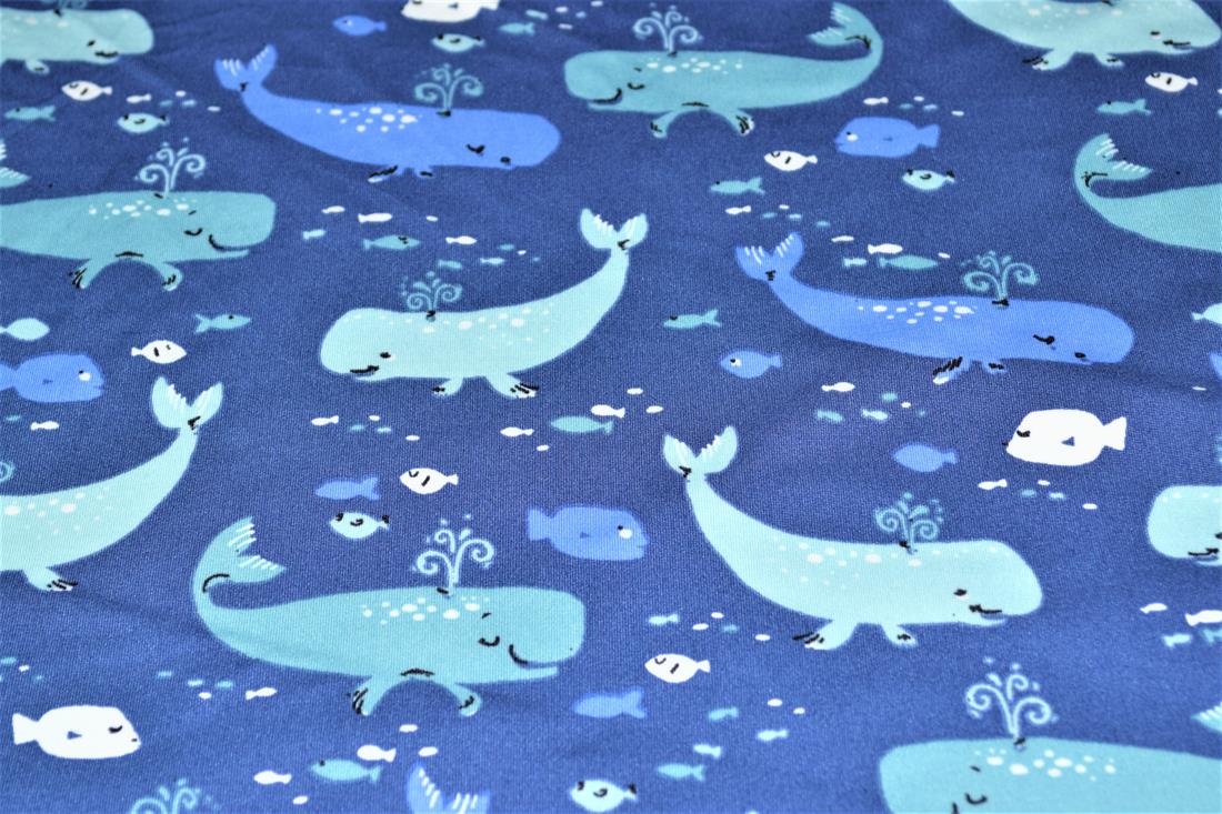 Whales - image 4