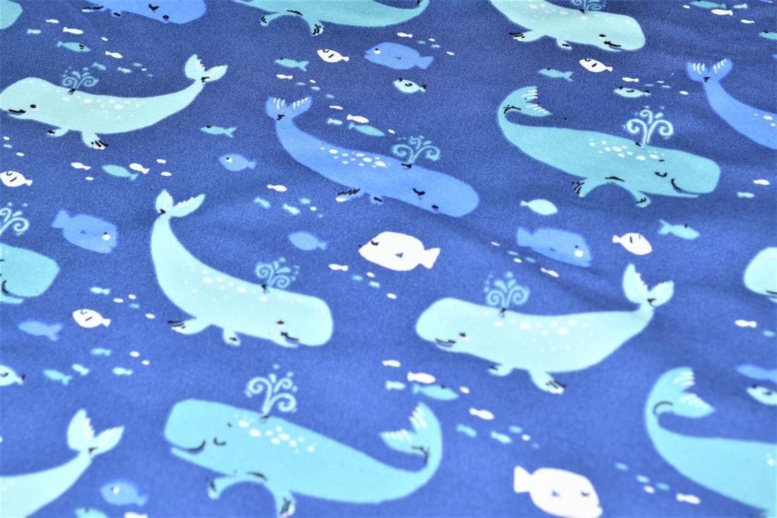 Whales - image 5