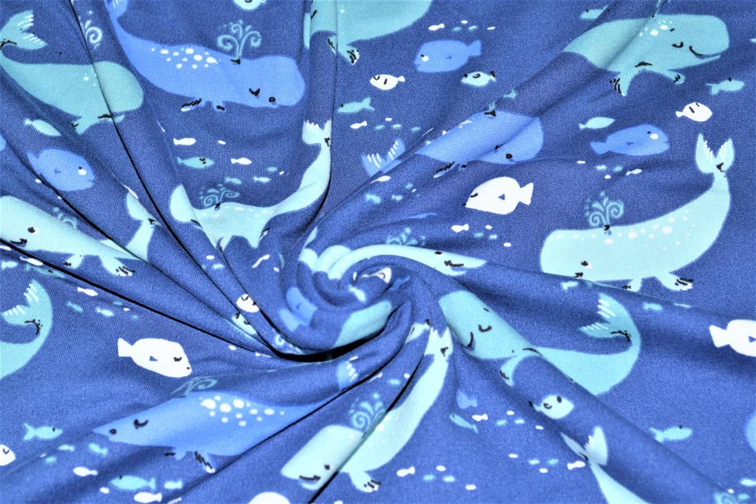 Whales - image 6